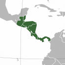 Central and South America